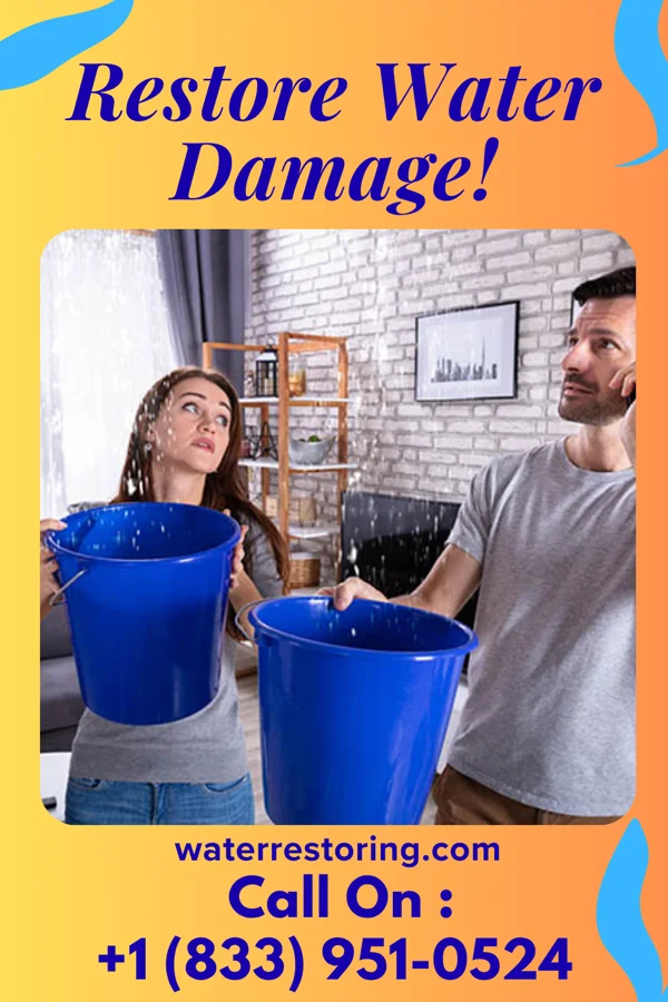 water restoration Zenith Water Restoration LLC McGregor